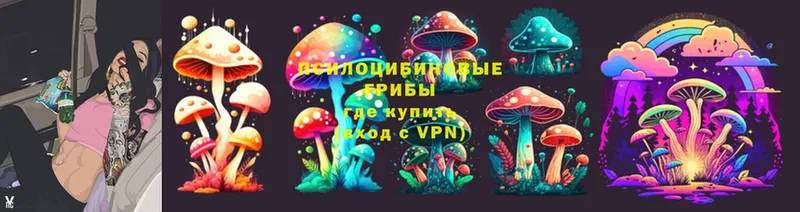 Псилоцибиновые грибы Cubensis  закладка  Алатырь 